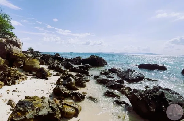 sharp rocks on the beach