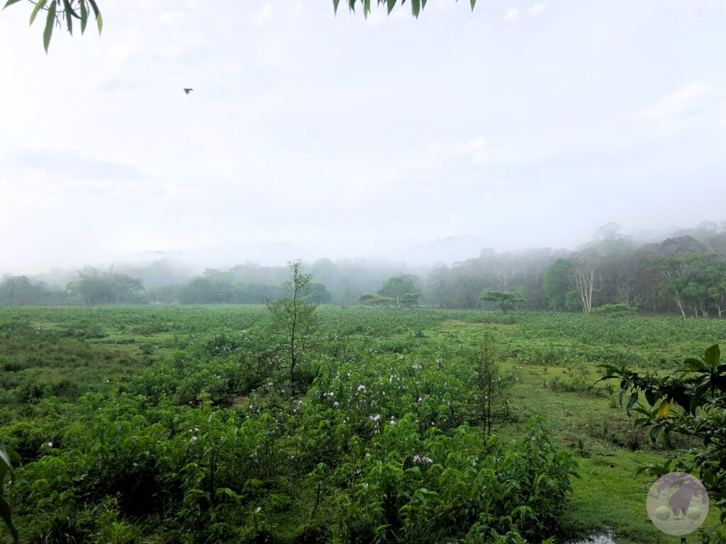 suggested stay in Thekkady Kerala