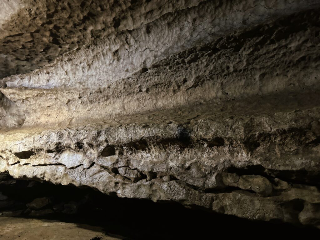 fossils in arwah cave