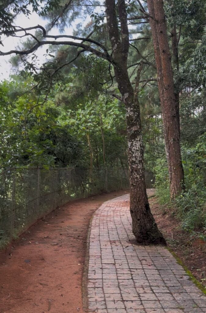 Paved roads in Umiam Lake